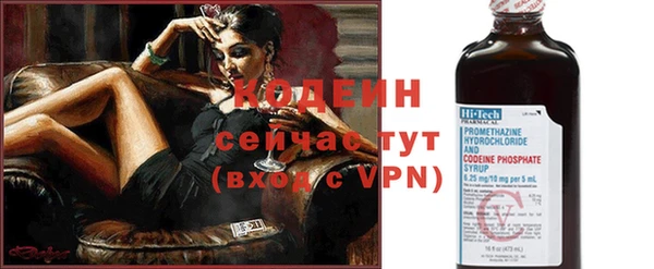 крисы Абаза