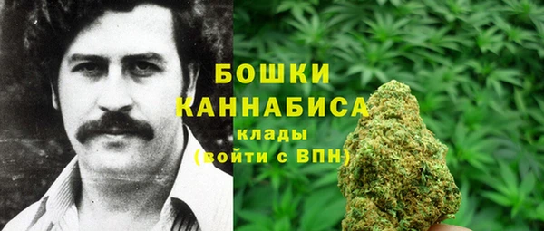 крисы Абаза