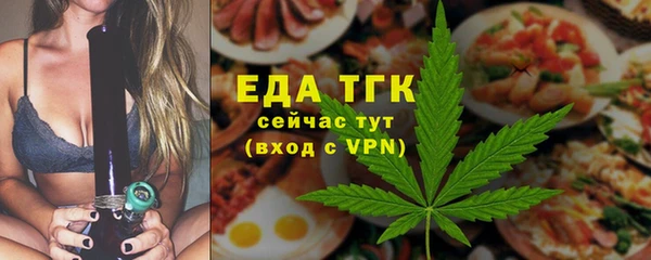 крисы Абаза